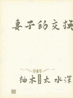 妻子的交换4
