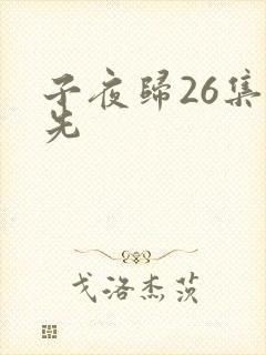 子夜归26集预先