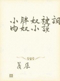 小胖奴被调教成肉奴小说