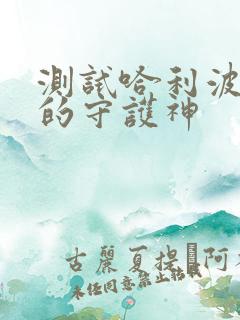 测试哈利波特中的守护神