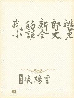 我的新郎逃婚了小说全文免费阅读