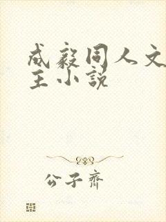 成毅同人文双男主小说
