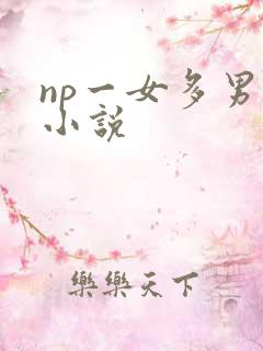 np一女多男的小说