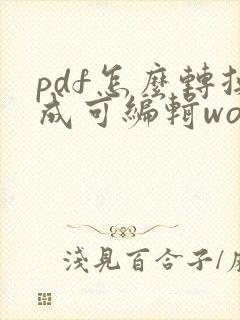 pdf怎么转换成可编辑word文档