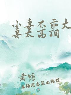 小妻不乖大佬宠妻太高调