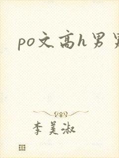 po文高h男男