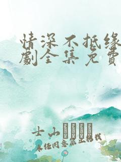 情深不抵缘错短剧全集免费播放