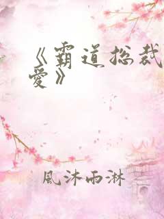 《霸道总裁轻轻爱》