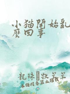 小猫开始乱尿怎么回事