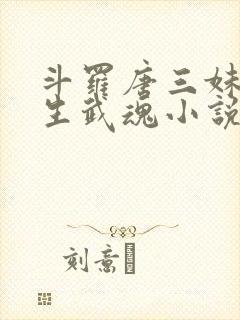 斗罗唐三妹妹双生武魂小说