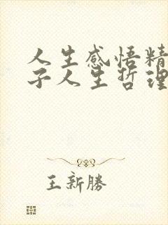 人生感悟精辟句子人生哲理