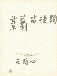 甘蓝苗后阔叶除草剂