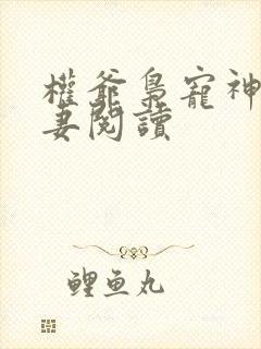 权爷枭宠神秘娇妻阅读