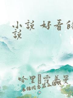 小说 好看的小说