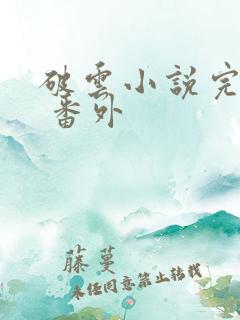破云小说完整版 番外