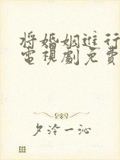 将婚姻进行到底电视剧免费观看完整版