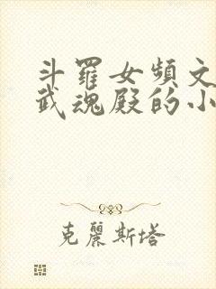 斗罗女频文加入武魂殿的小说