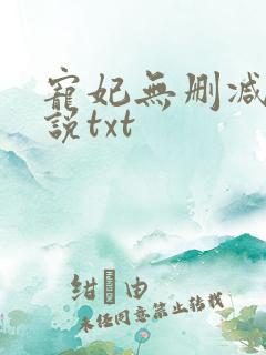 宠妃无删减版小说txt
