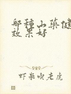 哪种山药健脾胃效果好