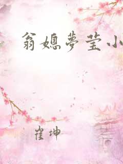翁媳梦莹小说