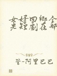 女婿回乡全村风光短剧在哪里可以看