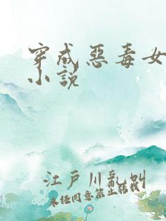 穿成恶毒女配的小说