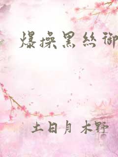 爆操黑丝御姐