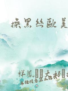 操黑丝欧美