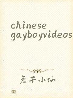 chinesegayboyvideos