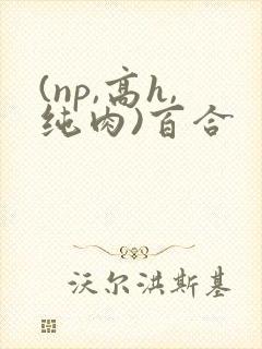 (np,高h,纯肉)百合