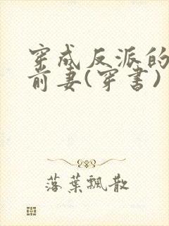 穿成反派的炮灰前妻(穿书) 团子来袭