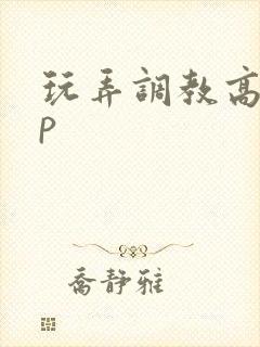 玩弄调教高hnp