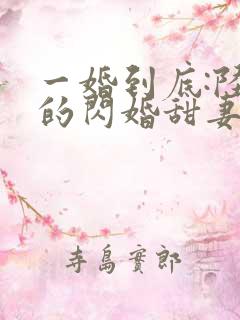一婚到底:陆少的闪婚甜妻