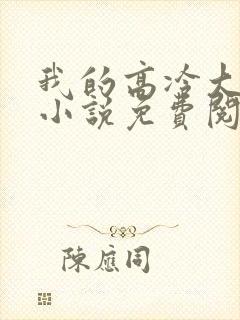 我的高冷大小姐小说免费阅读
