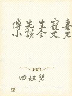傅先生宠妻无度小说全文免费阅读
