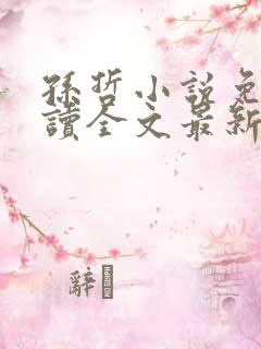 孙哲小说免费阅读全文最新章节