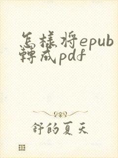 怎样将epub转成pdf