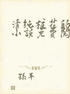 清纯校花的秘密小说免费阅读全文