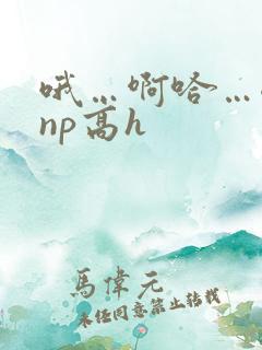 哦…啊哈…嗯…np高h
