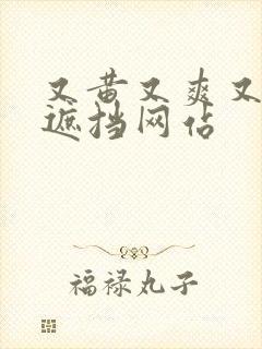 又黄又爽又色无遮挡网站