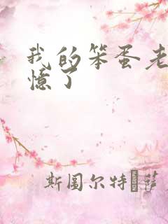 我的笨蛋老婆失忆了