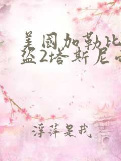 美国加勒比女海盗2塔斯尼帝复仇2