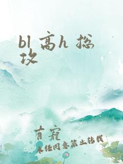 bl 高h 总攻