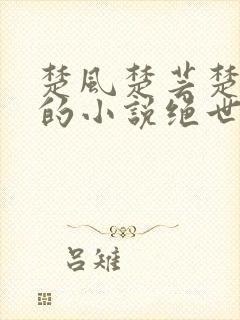 楚风楚芸楚鸿飞的小说绝世神皇全文免费阅读