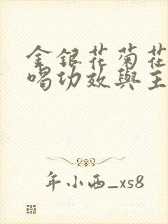 金银花菊花泡水喝功效与主治