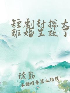 短剧封总太太的离婚生效了