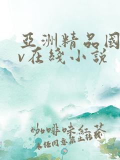 亚洲精品国产av在线小说