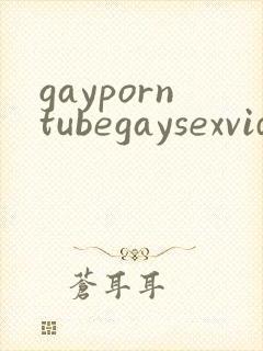 gayporntubegaysexvideos