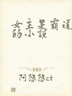 女主是霸道总裁的小说