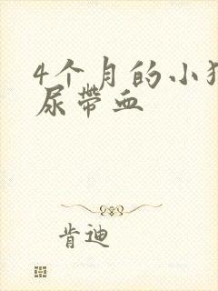 4个月的小狗拉尿带血